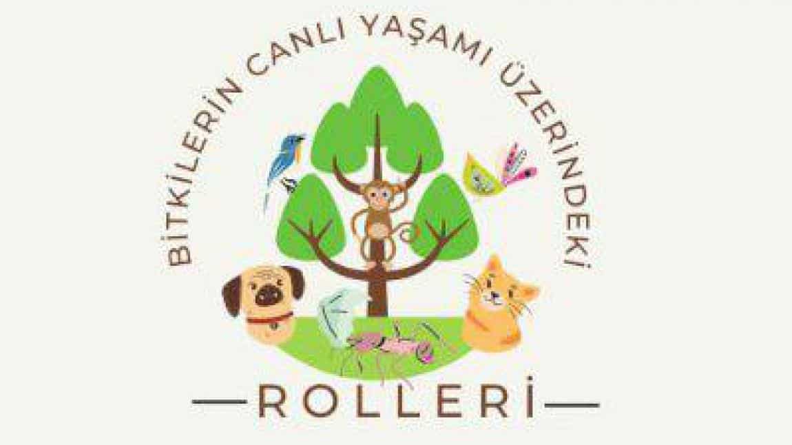 BİTKİLERİN CANLI YAŞAMI ÜZERİNDEKİ ROLLERİ BİTKİ İNCELEME ÇALIŞMASI